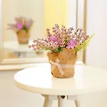 Jadranko 3* زادار