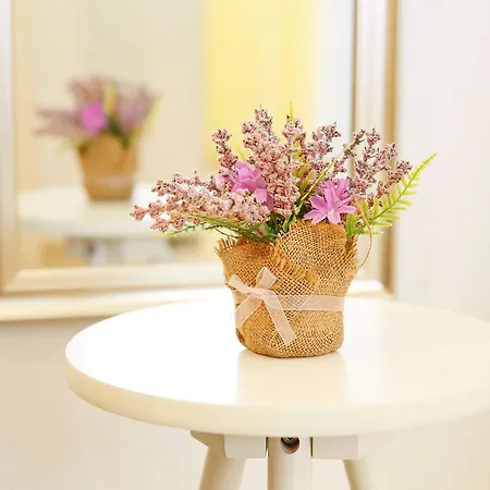 Jadranko 3* Ζαντάρ